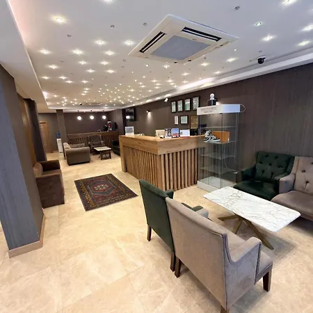 酒店 Rain Golden 伊斯坦布尔