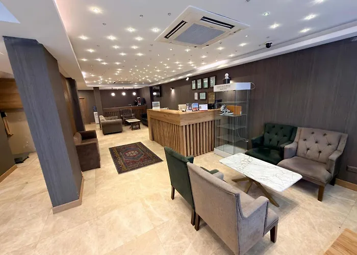 酒店 Rain Golden 伊斯坦布尔