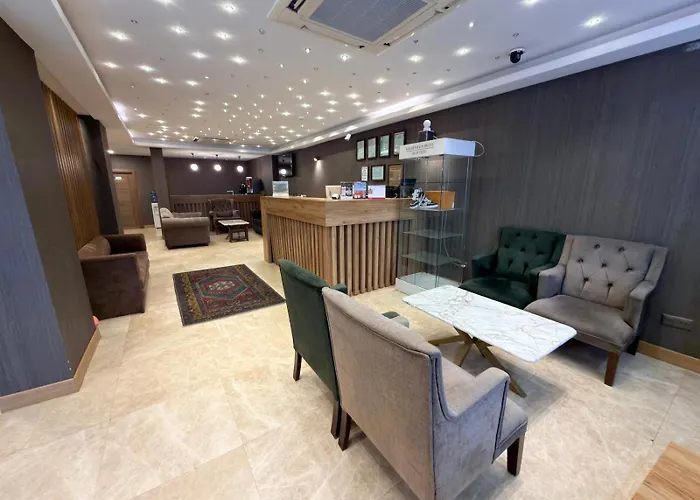 酒店 Rain Golden 3*